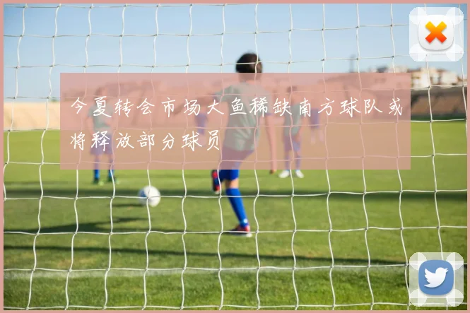 今夏转会市场大鱼稀缺南方球队或将释放部分球员