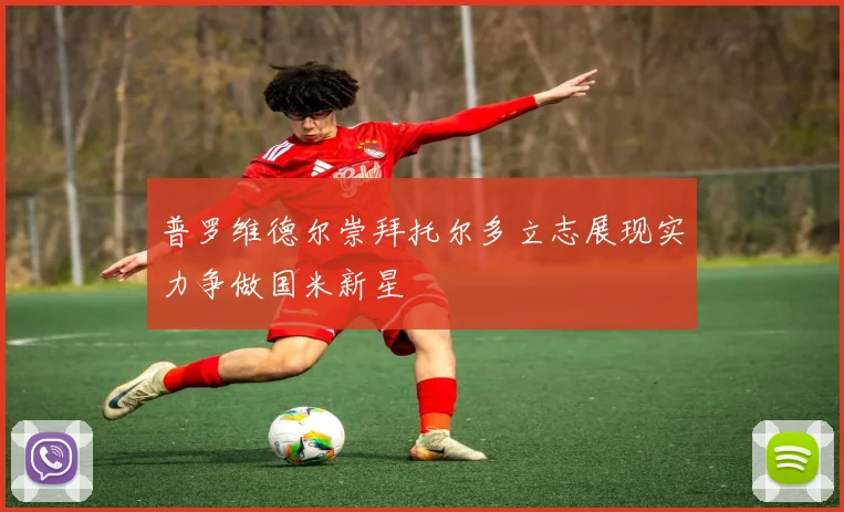 普罗维德尔崇拜托尔多立志展现实力争做国米新星